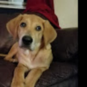 Meet your Posher, Georgia